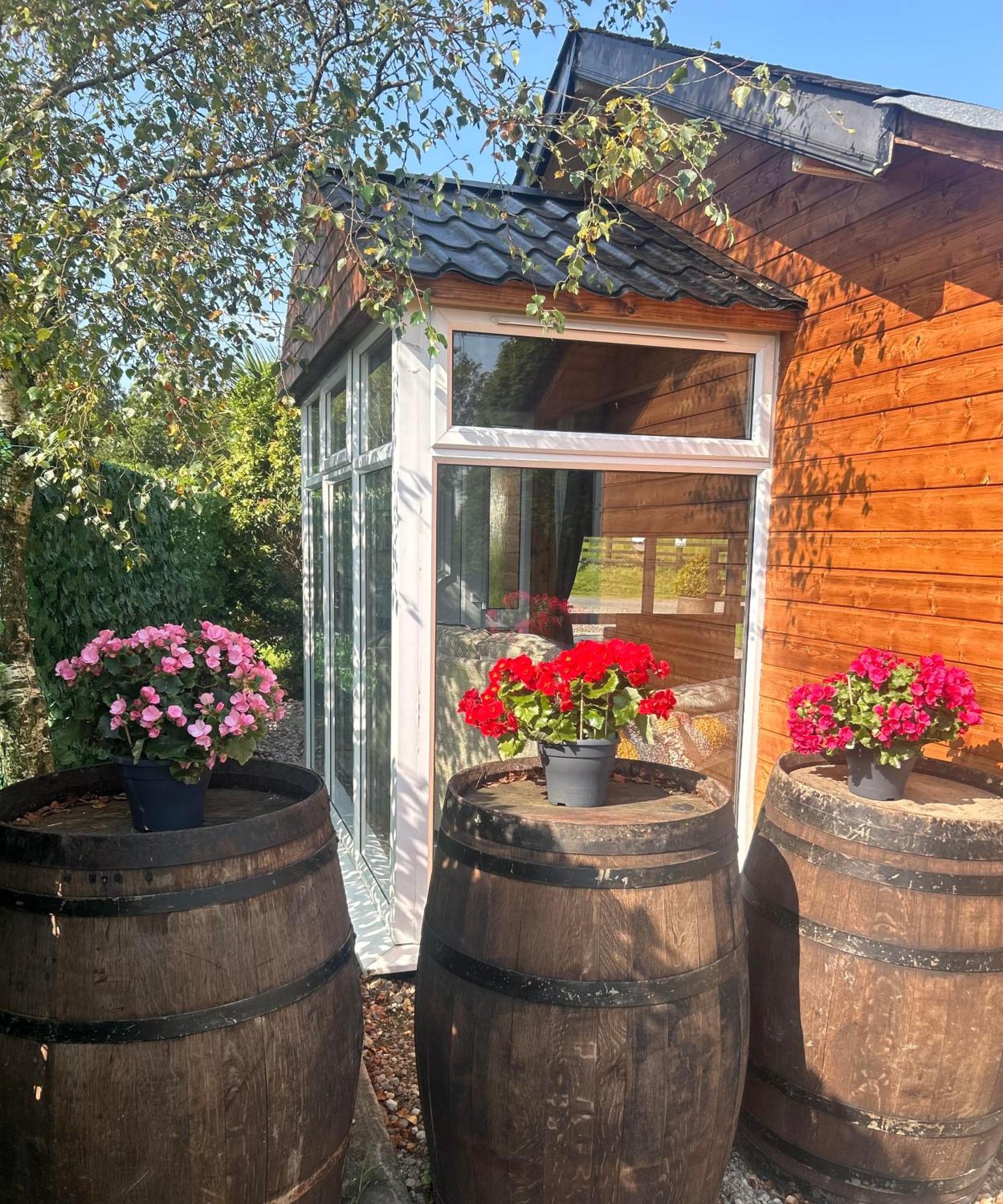 Omagh Villa Sixmilecross Dış mekan fotoğraf